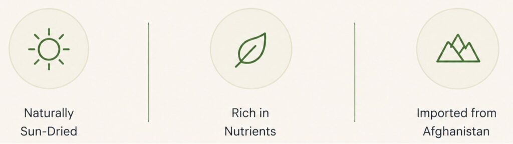 feature product panel 2